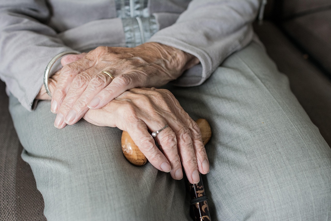 hand,  human,  woman,  grown up,  hands