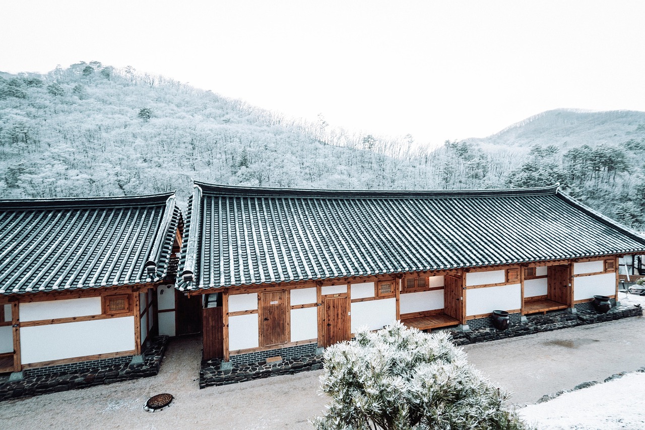 house,  building,  roof,  tradition,  mountain
