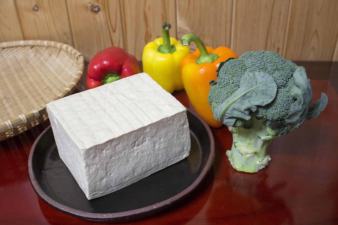 tofu,  korean,  korean food,  korean traditional food,  traditional food