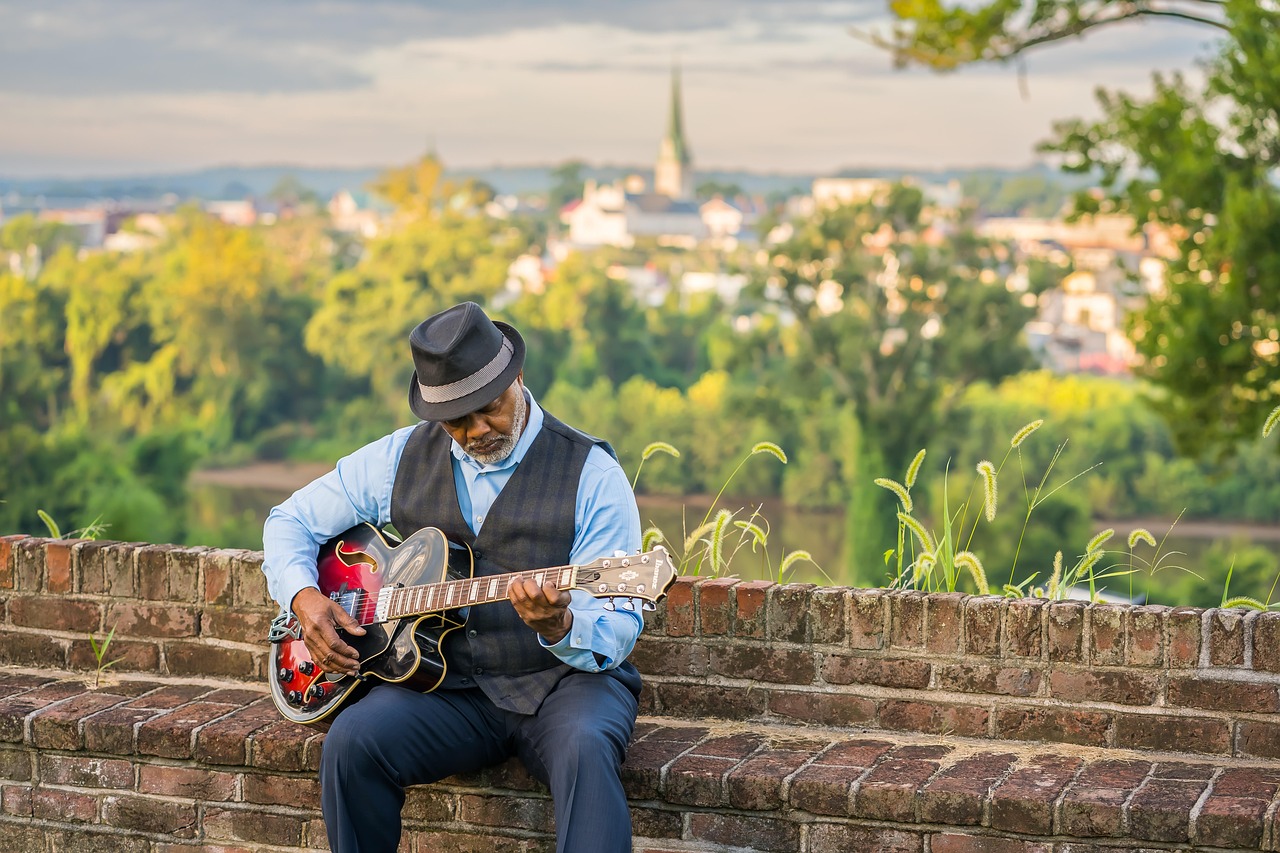 man,  music,  guitar,  senior,  countryside