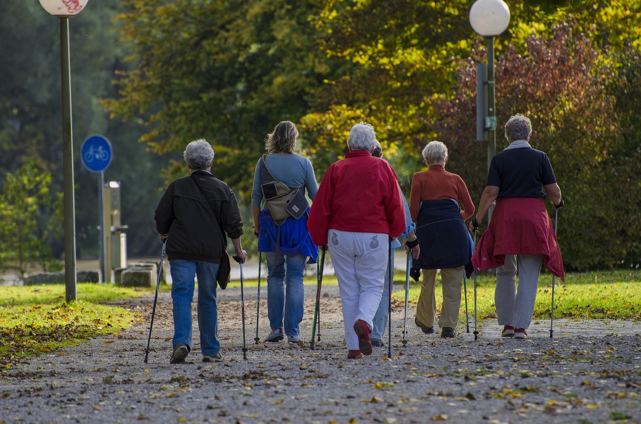 nordic walking,  stroller,  walk,  together,  people